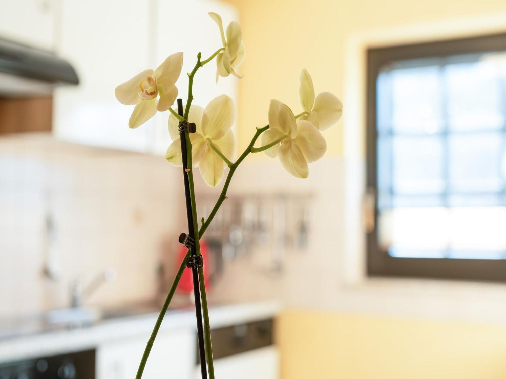 A Modern Apartment In The Hunsr Ck Region S Romantic Drohn Valley Merschbach Esterno foto