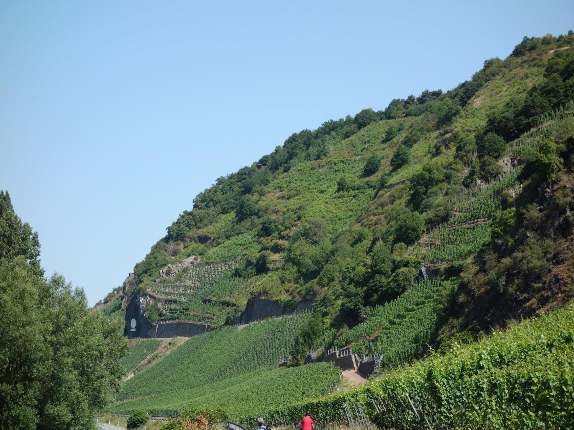 A Modern Apartment In The Hunsr Ck Region S Romantic Drohn Valley Merschbach Esterno foto